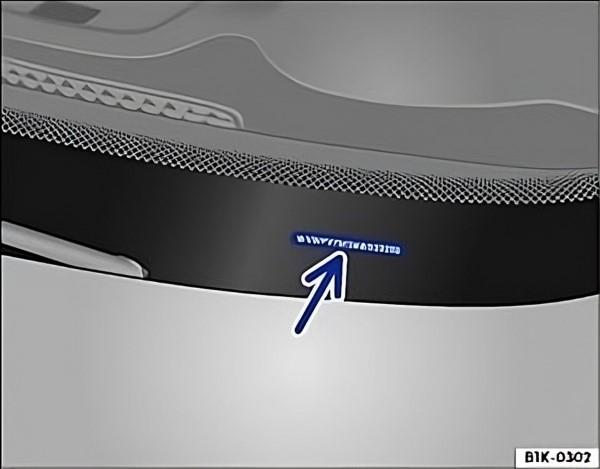 Rys. 16 Numer identyfikacyjny samochodu Rys. 16 Numer identyfikacyjny samochodu